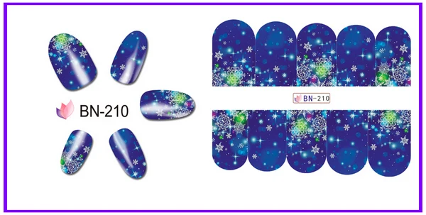 BN210