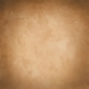 

Thin Vinyl cloth photography Backdrop brown Pure Color Computer Printing Background Wedding Baby backdrop