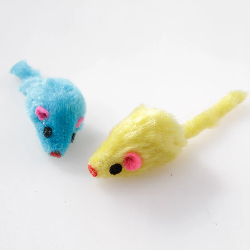 cats toy