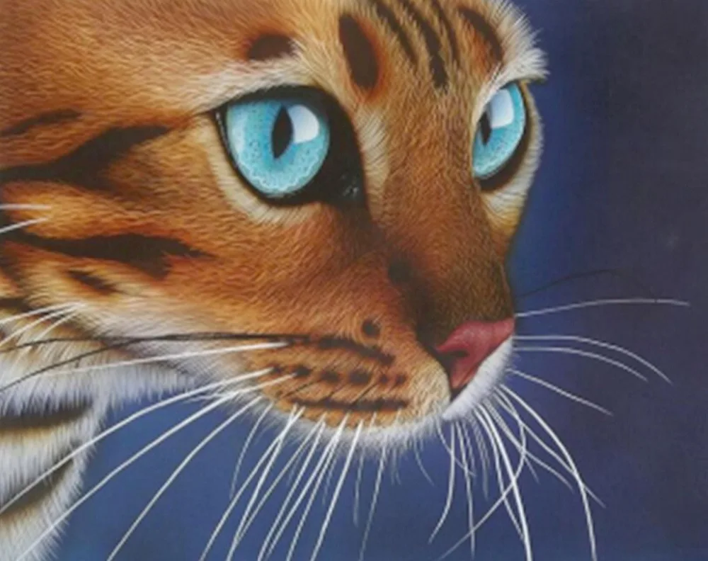 5d Diy Diamond Embroidery Painting Rhinestone Diamond Painting