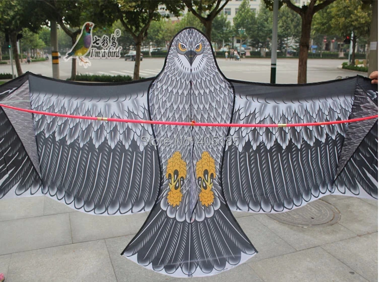 Воздушный змей Eagle мощный 3 6 м с ручкой и плетеной линией|sporting goods mail order|kite artkite