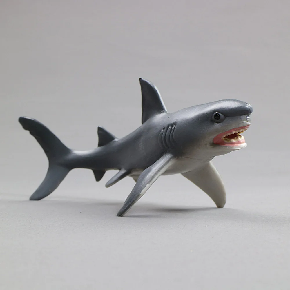 shark riding toy
