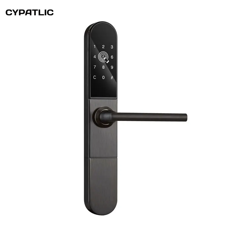 Кодовый дверной замок Блокировка цифровой клавиатуры для 30 мм толщина двери - Color: Dark grey