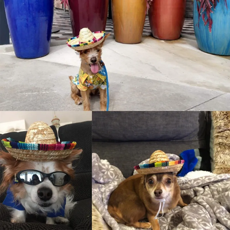 Соломенная мини-шляпа для домашних животных, для кошек, сомбреро, шляпа от солнца, пляжные, вечерние, соломенные шляпы, для собак, Гавайский стиль, шляпа для собак, забавные аксессуары