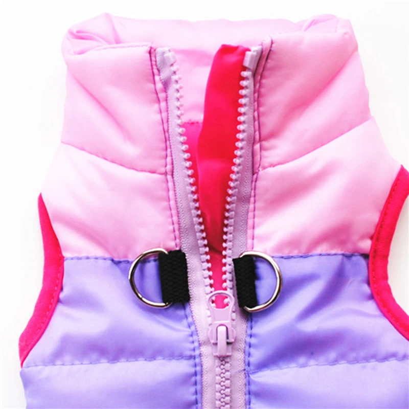 4337127389_361259826