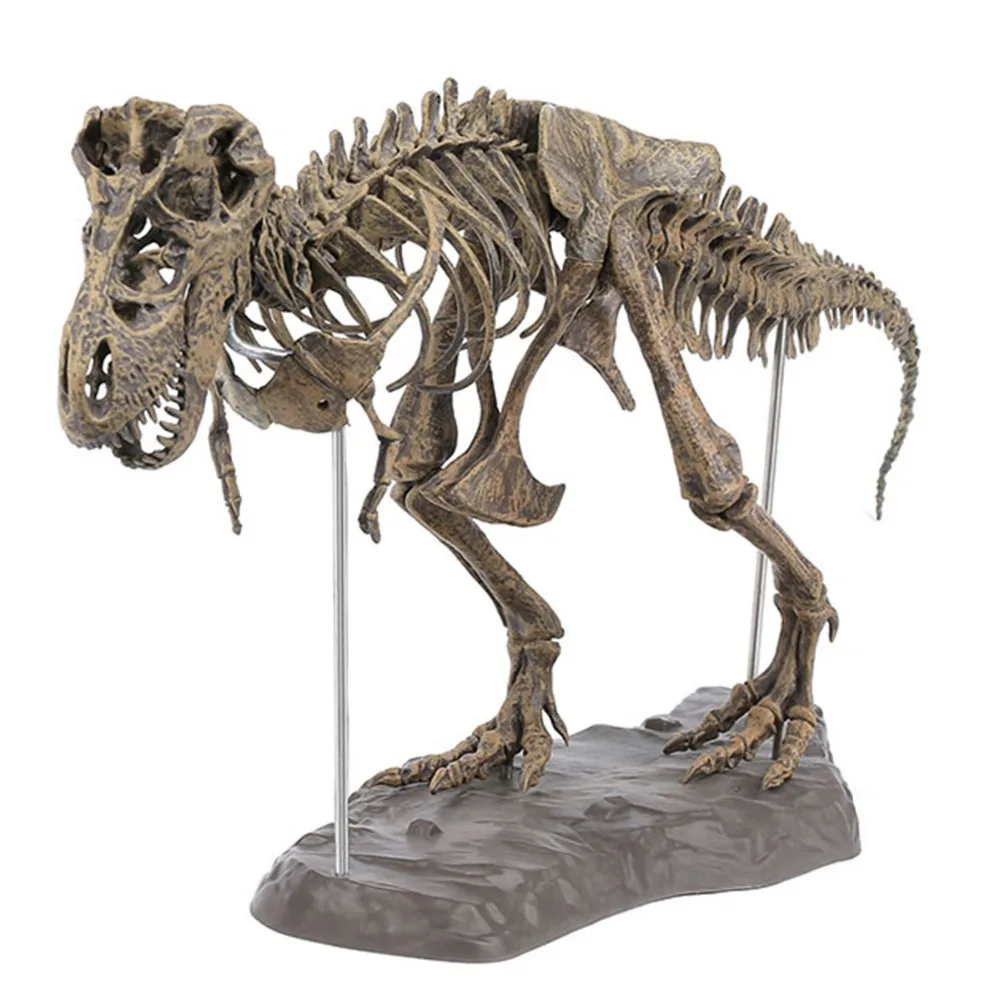 4D Assembling Fossil Skeleton 4