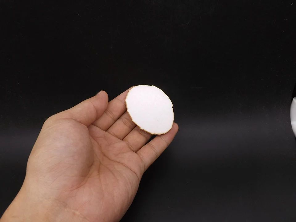 Tiny-Food019-Lemon (5)