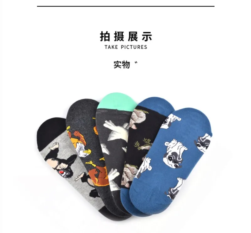 QQ20190428094122