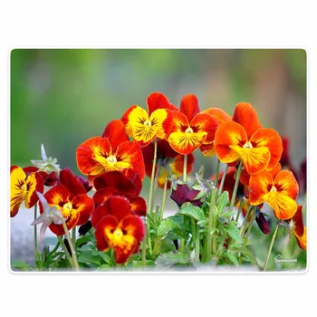 

Blanket Comfort Warmth Soft Plush Easy Care Machine Wash Flowers red plant camouflage Sofa Bed Throw Kid Adult Warm Blanket