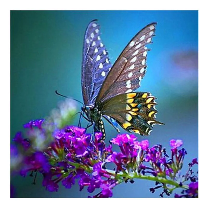 5d DIY Алмазная вышивка, бабочка цветок, полный квадратный daimond картина мозаика Стразы по номерам свадебное украшение BK - Цвет: 6