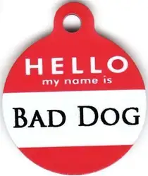 Низкая цена собака Имя Теги Лидер продаж выгравированы Pet ID Hello My name Is Bad собачий тэг Дешевые Имя адресники для собак