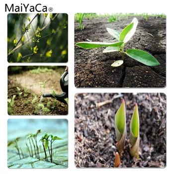 

MaiYaCa Slender growing saplings Customized laptop Gaming mouse pad Size for 18X22CM Speed Version Gaming Mousepads