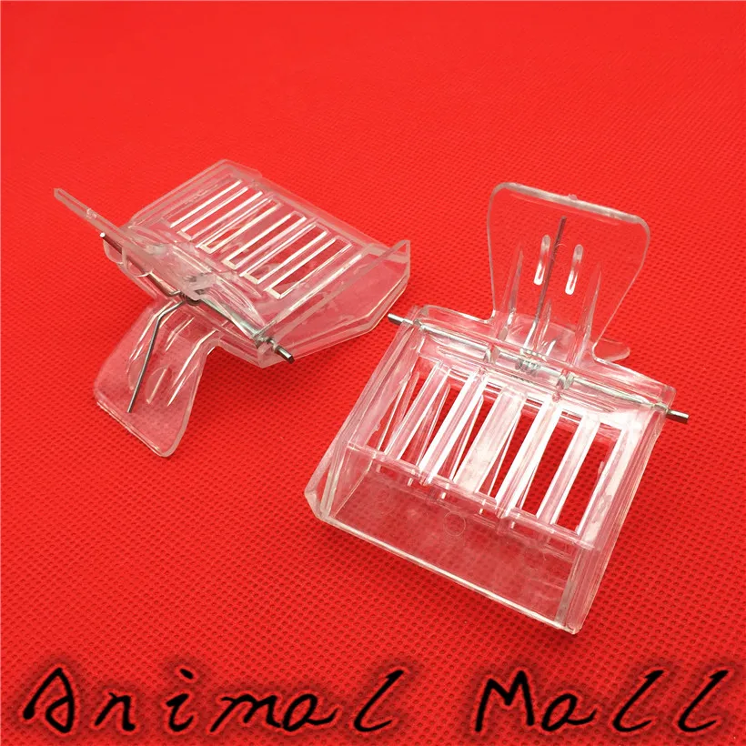 2 PCS Bee Tools Queen cage Colorless plastic clip Bee Clip