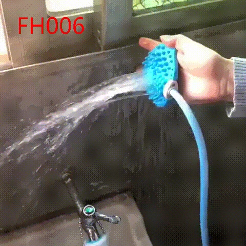FH006 (3)
