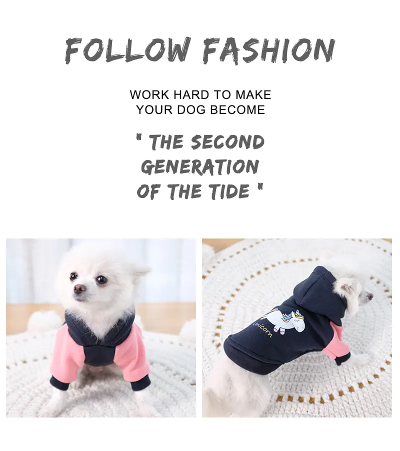 clothes dog boy