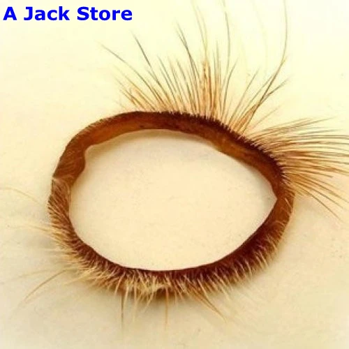 penis in eye socket Bang my teens