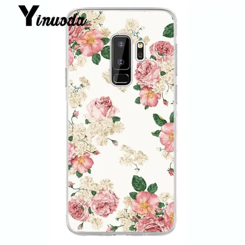 Flower Cherry Tree Candy Colors Leaves 