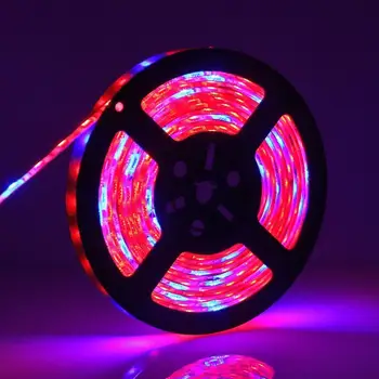 

LED Grow light Full Spectrum 1M 2M 5M LED Strip 5050 LED Flower Plant Phyto Growth lamps For Greenhouse Hydroponic Plant Growing