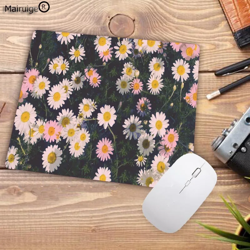 364full-size-daisy-background-1920-WTG2001214
