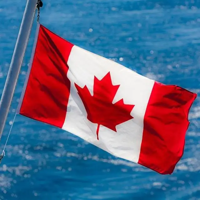 polyester canada maple leaf