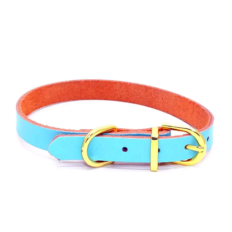 SYDZSW Real Leather Chihuahua Dog Collar Puppy Pet Collar leads for Small Dogs Cats Top Grade Golden Buckle Pet Dog Collar5