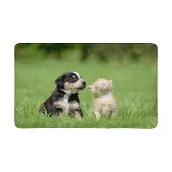 

Dog Cat Indoor Doormat Latex Backing Non Slip Door Mat Entrance Rug
