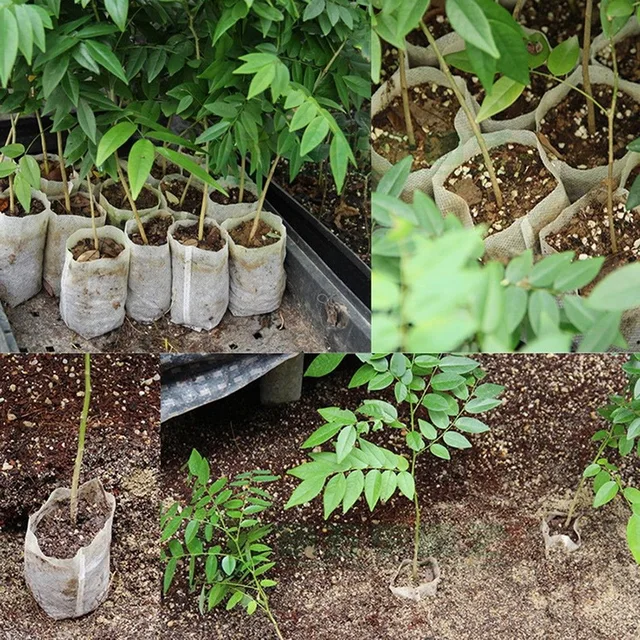New Garden Supplies Environmental Protection Nursery Pots Seedling-Raising Bags 8*10cm 100pcs-Pack