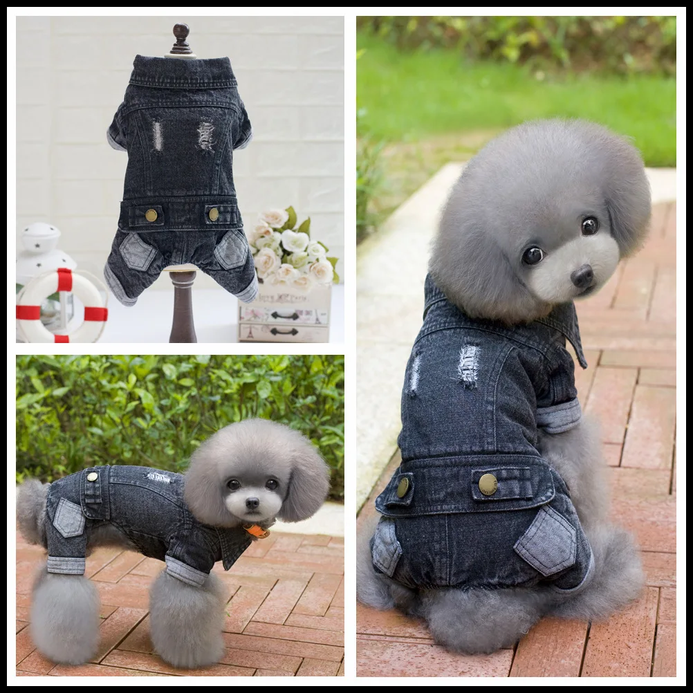 Bigeyedog Dog Denim Jeans Coat Jacket Jumpsuit Puppy Poodle Bichon Pet