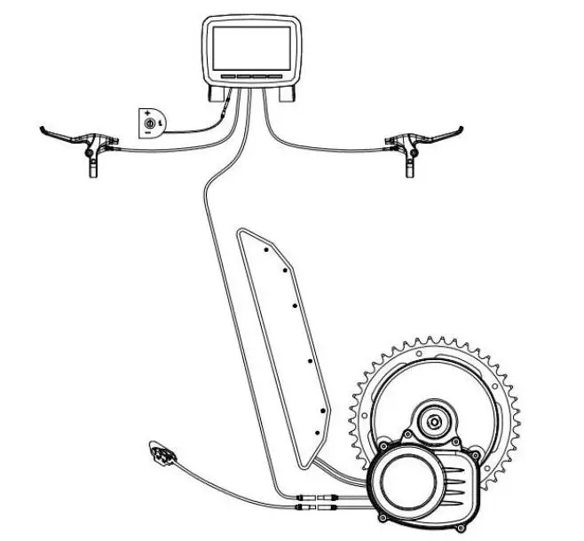 whole system