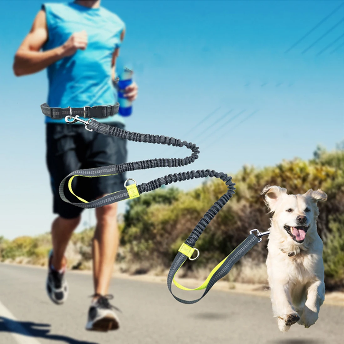 

2.5*160cm Dogs Leash Running Elasticity Hand Freely Pet Products Dogs Harness Collar Jogging Lead and Adjustable Waist Rope