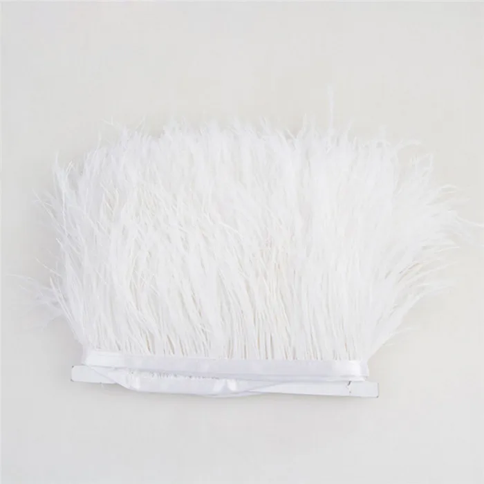 00 ostrich feather trim 1