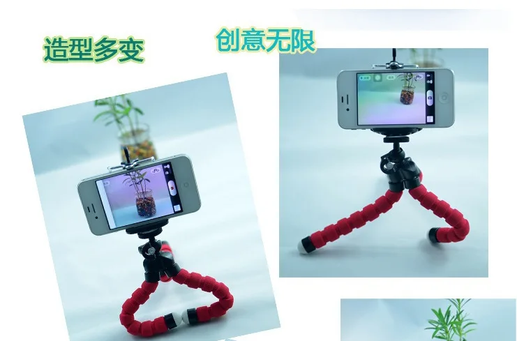 4283781241_621623898