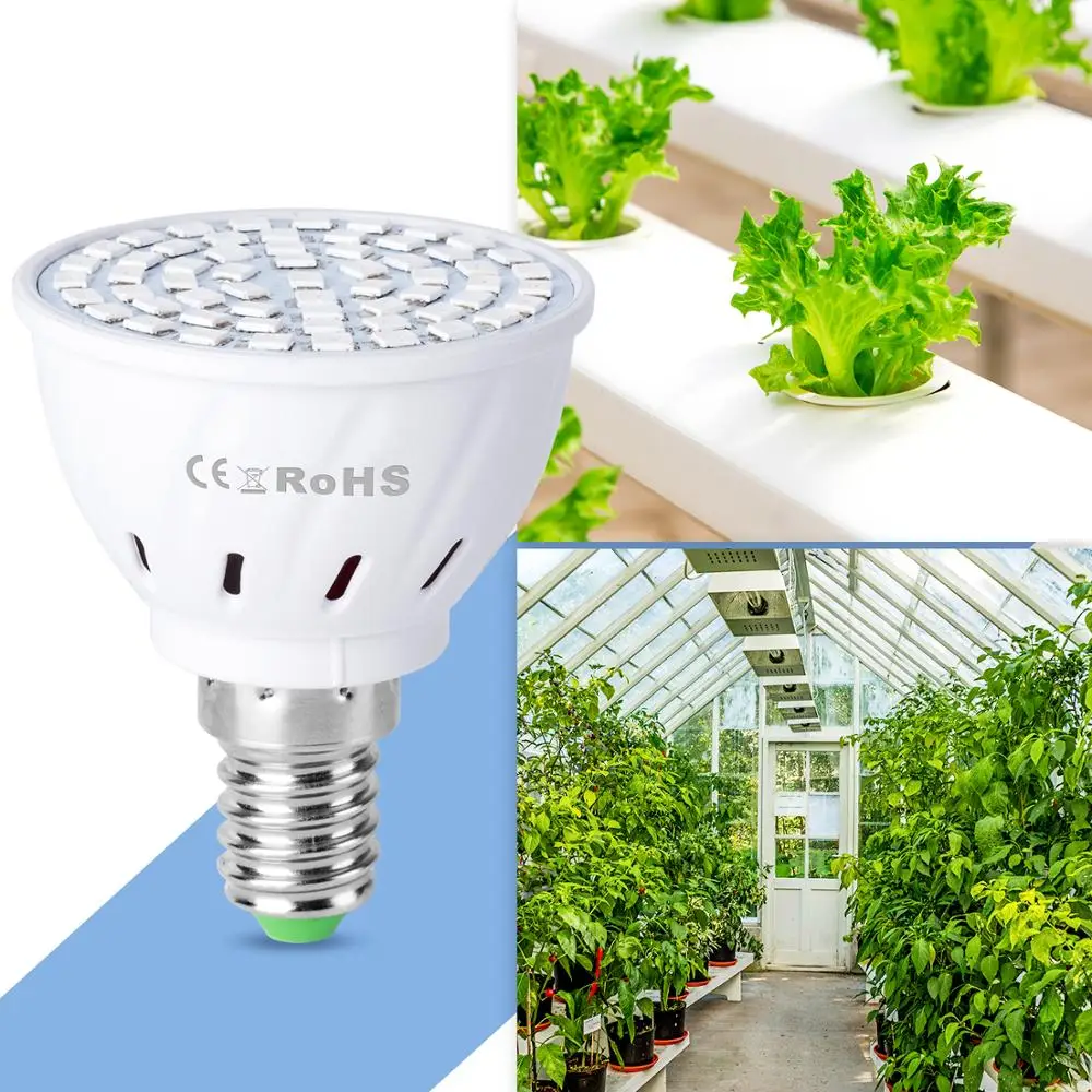 

E14 Led Grow Light E27 Phyto Led Full Sprctrum Lamp GU10 Led 220V Indoor Plants Growing Lamp MR16 3W 5W 7W Grow Tent Bulb B22