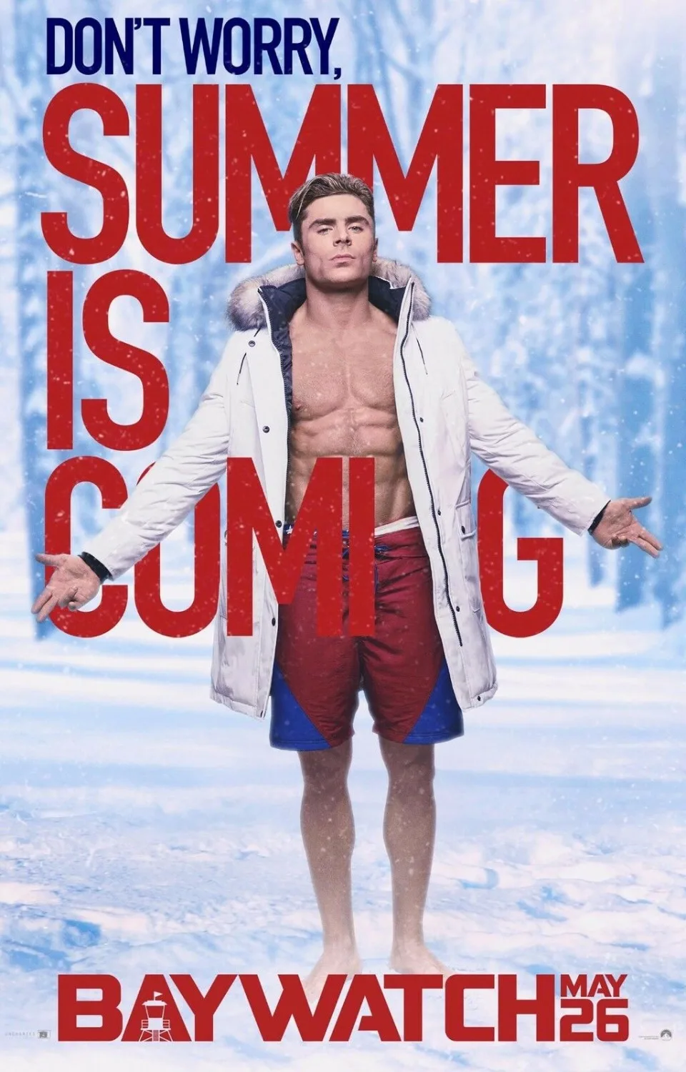 

Baywatch Movie Dwayne Johnson, Zac Efron, Daddario SILK POSTER Wall painting 24x36inch