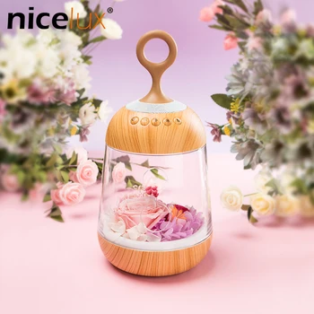 

Romantic Flower LED Night Light Rechargeable Streamer Bottle Creative Bulb Rose Gift for Girl Table Lamp with Bluetooth Speaker