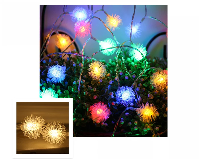 8829676598_1659324069