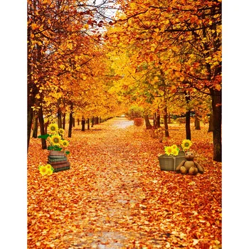

Charming vinyl computer printed autumn yellow trees and leaves forest photo studio backgrounds for model portrait photography