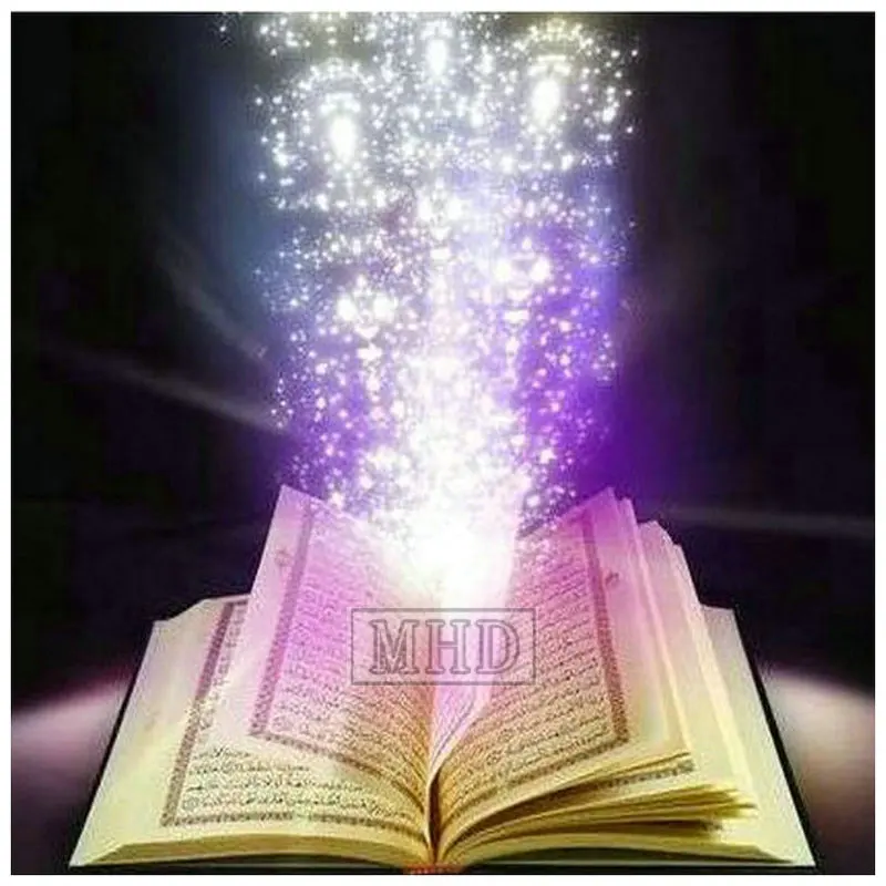 ARK- (56)