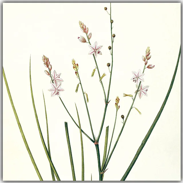 Fresh-Nature-Flowers-Are-Modern-and-Simple-Canvas-Painting-Art-Print-Poster-Picture-Wall-Paintings-Home.jpg_640x640 (2)