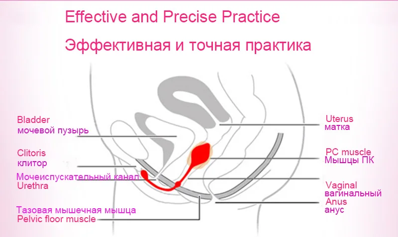 2191601684_1854682274