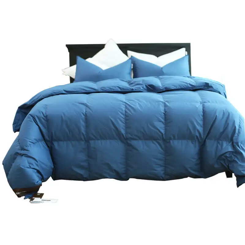 Big Offer Leradore New Two In One Quilt Goose Down Comforter For