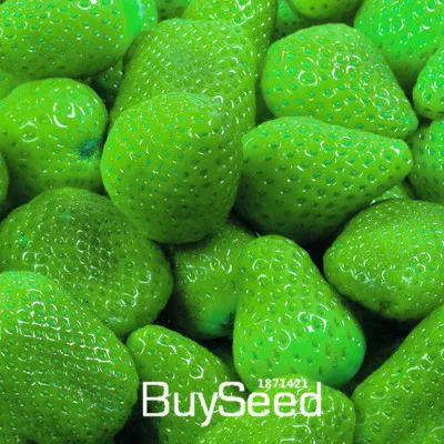 50Pcs Mixed Color Strawberry Fruit Plant Seeds Bonsai Balcony Garden Decor USA 50Pcs Mixed Color Strawberry Fruit Plant Seeds Bonsai Balcony Garden Decor USA