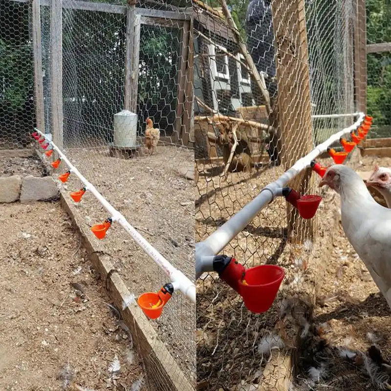 50 Pcs Automatic Quail Drinker Chicken Waterer Bowl With Nipple