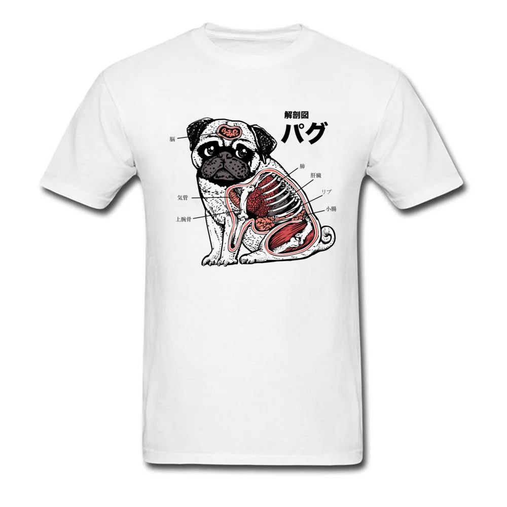 Funny Pug Anatomy Veterinarian_white