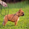 4ft/5ft Leather Dog Leash P Chian Collar Traction Lead Rope For Chihuahua Bulldog Small Dogs Leashes Slip Collars Pet Supplies 6