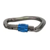 23KN Rock Climbing Srewgate Master Lock Carabiner Safety Buckle Security Twist-lock Lock Tree Carving Equipment Gear ► Photo 2/5