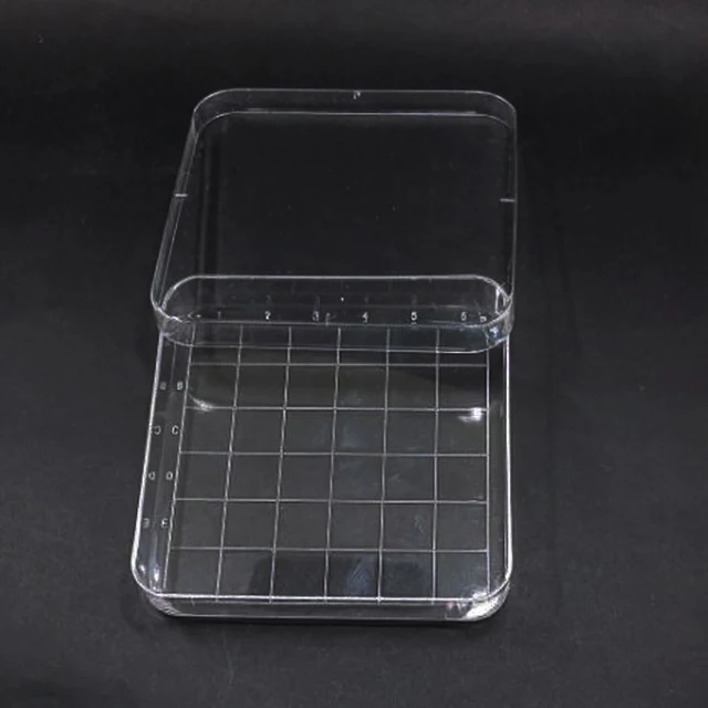 10pcs clear 10*10cm scaled square plastic petri dish with cover,culture