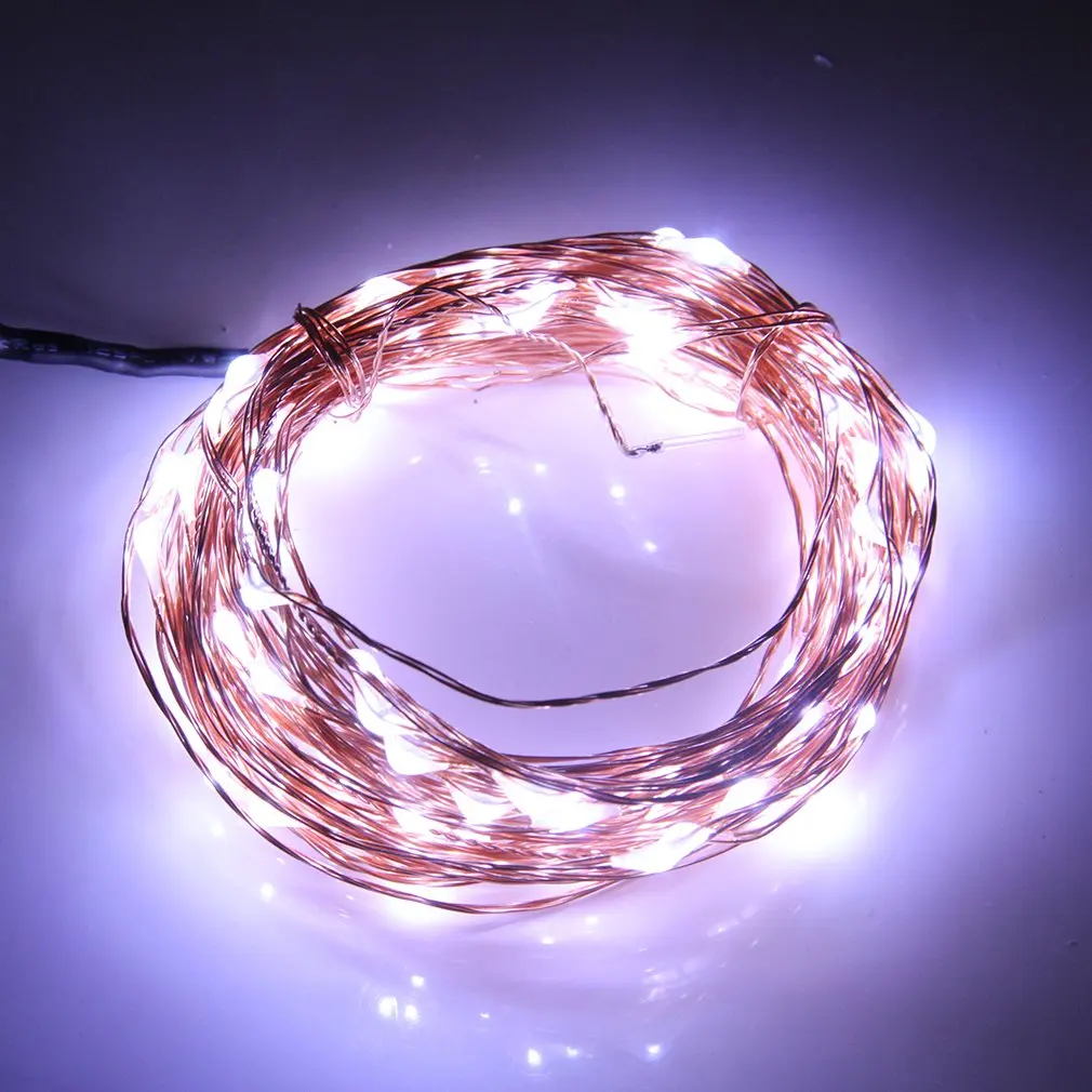 100 LEDs 10M Copper Wire Fairy LED String Lights 12V 2A High Quality