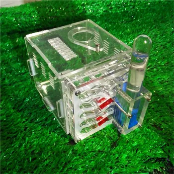 

Test tube Moisture big space Ant Nest ,Ant Farm Acrylic, Insect ants Villa House Ants Ecological Workshop