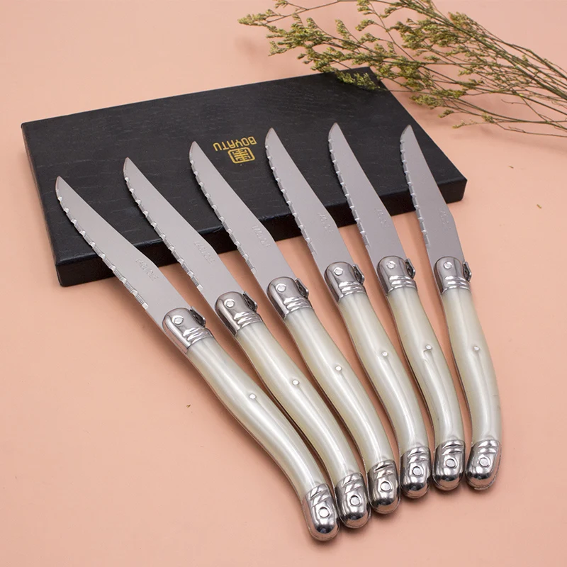 France 6pcs High quality laguiole stainless steel Steak Knife Set